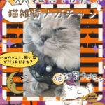 「ハロウィンて、願い事が叶うんだよね！？🎃😻✨」