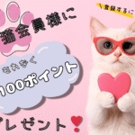 【ショップOPEN記念】猫会員様100ポイントプレゼント！