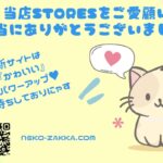 1年間storesありがとうございました！かわいいがパワーアップした新サイトになりました！