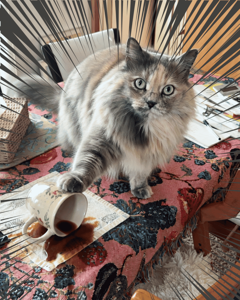 猫店長ナガチャンも宅猫スポーツチームに憧れてコーヒーを倒す練習中