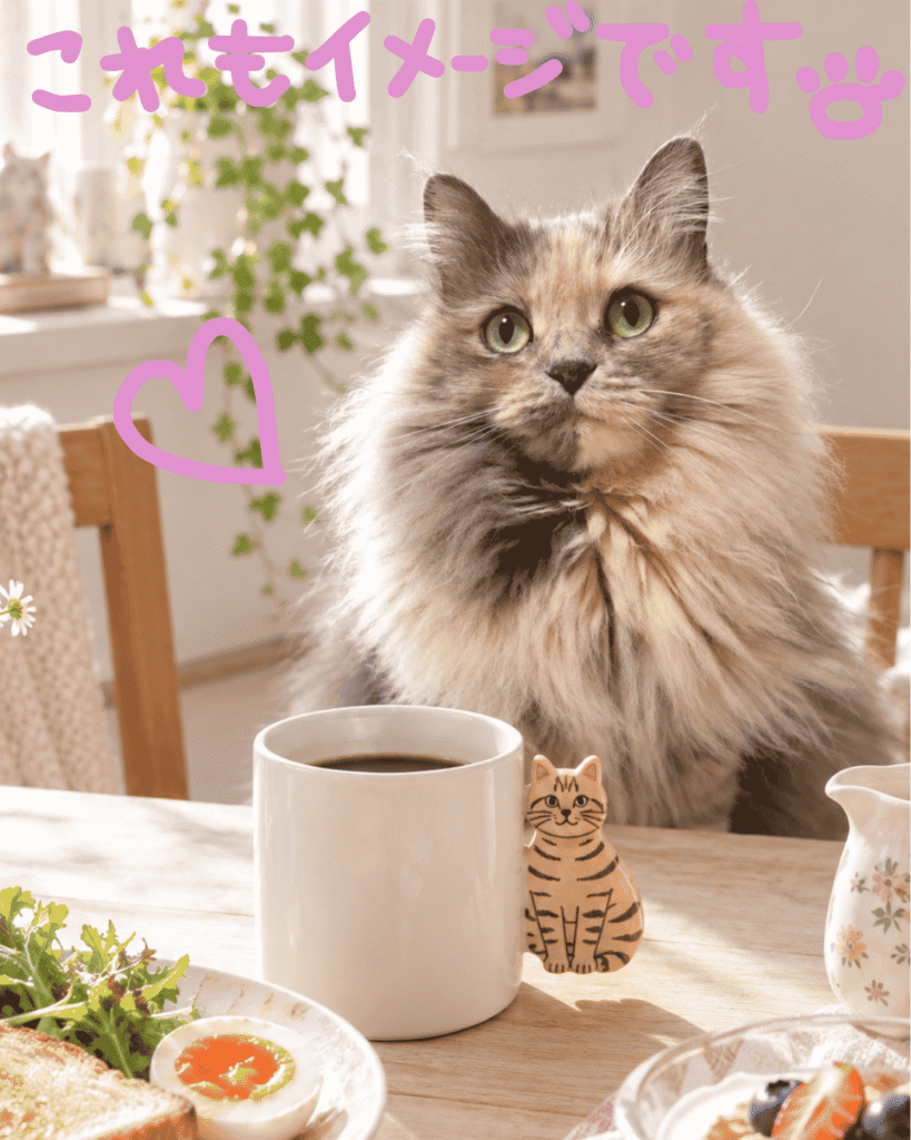 松尾ミユキねこの顔マグカップmm-Cat-handle-mug-01