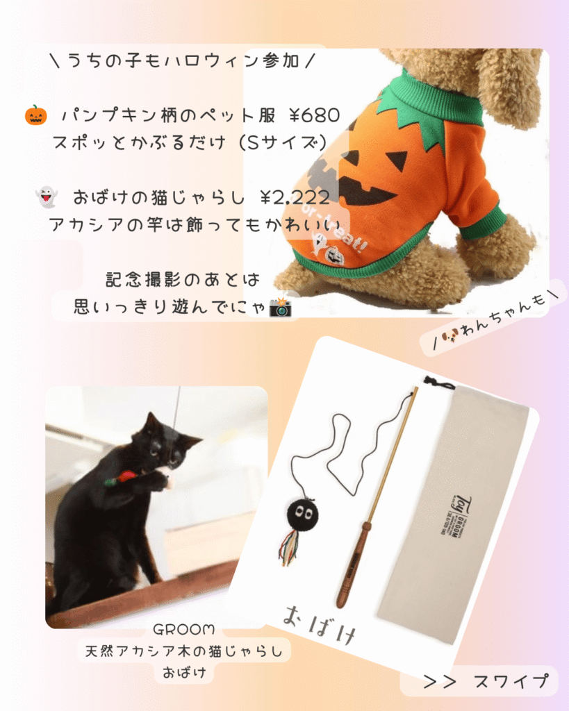 猫雑貨ナガチャンハロウィン猫グッズ2026特集04